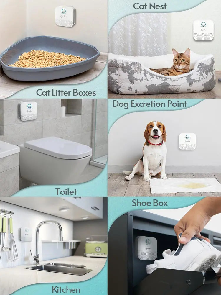 Pets Odor Purifier