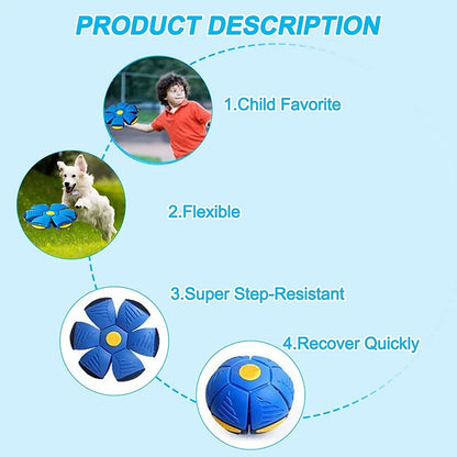 Futurism Pet Toy