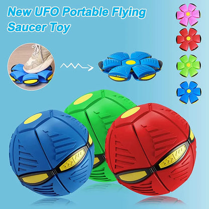 Futurism Pet Toy