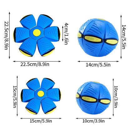 Futurism Pet Toy