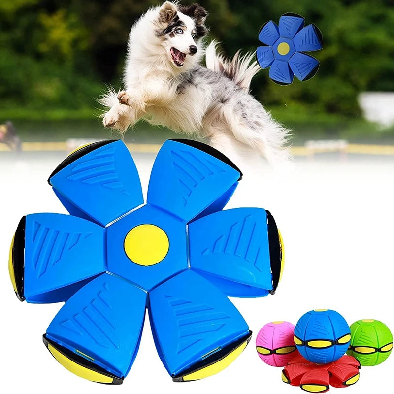 Futurism Pet Toy