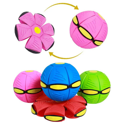 Futurism Pet Toy